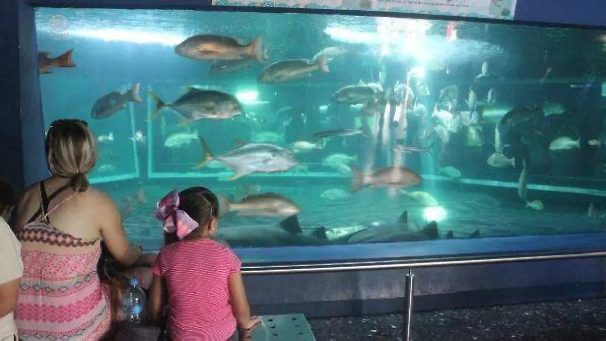 ACUARIO OK